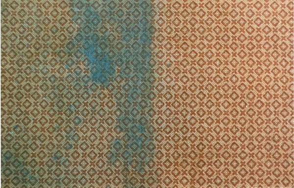 Before & After - Carpet 2